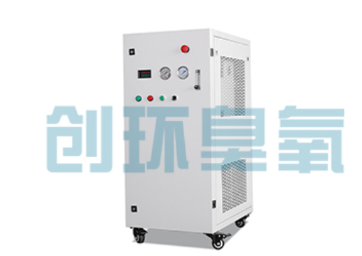 扬州石斑鱼养殖水质调控完整指南:臭氧发生器配置与操作步骤