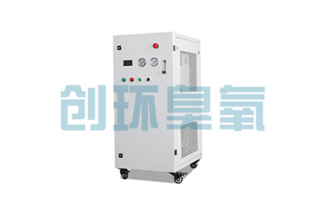 扬州比传统换水更高效?臭氧发生器在石斑鱼养殖中的水质净化原理解析